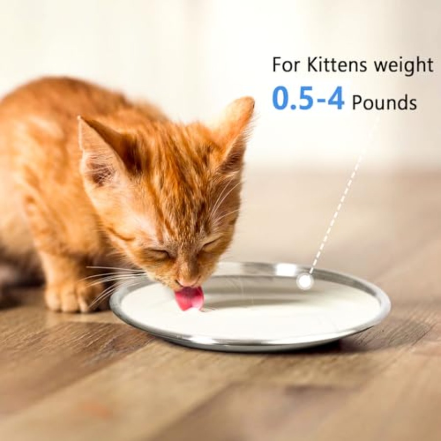 Stainless Steel Cat Dishes for - Baby Food Kitten ulasan dan harga