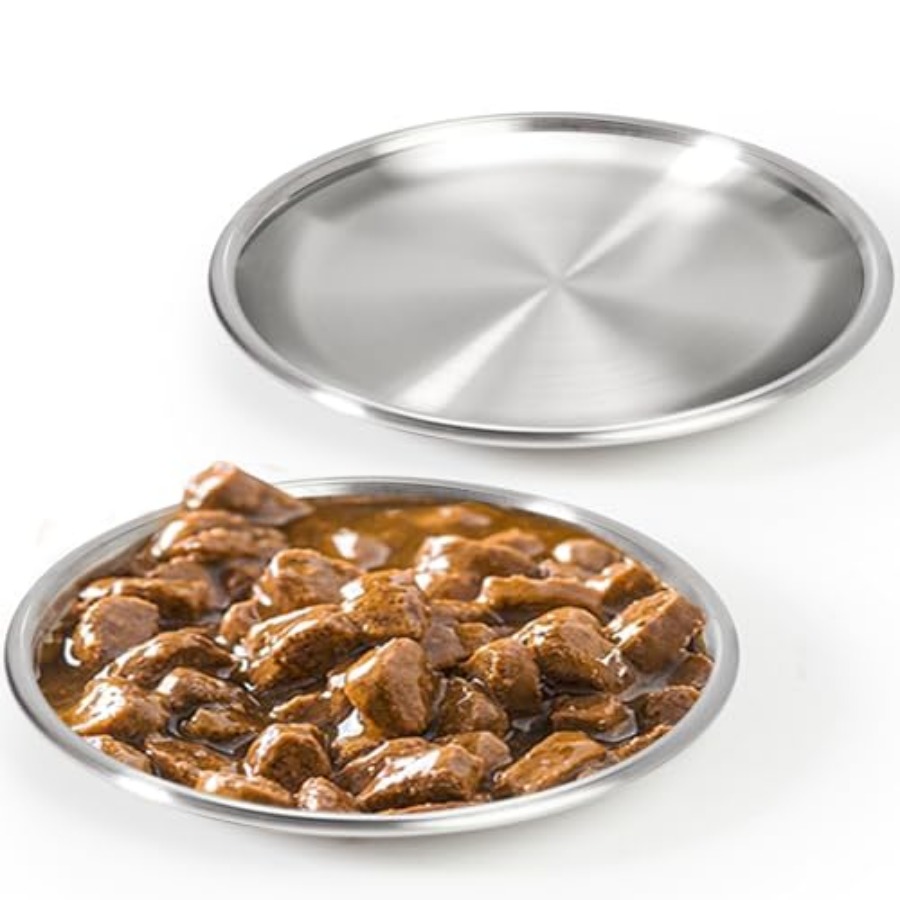 Stainless Steel Cat Dishes for - Baby Food Kitten ulasan dan harga