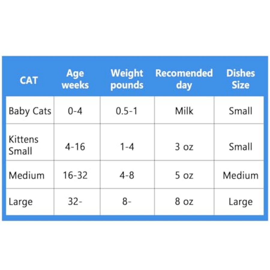 Stainless Steel Cat Dishes for - Baby Food Kitten ulasan dan harga