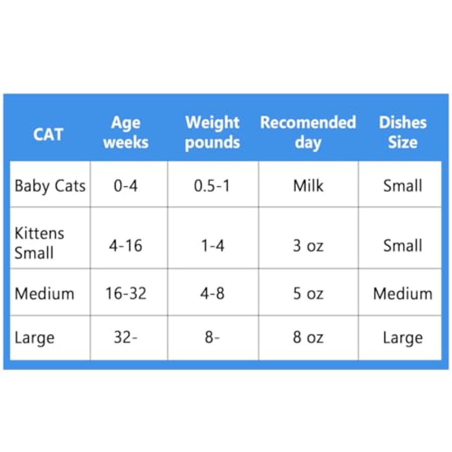 Stainless Steel Cat Dishes for - Baby Food Kitten ulasan dan harga